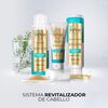 Shampoo-Revitalizador-de-Brillo-350-mL-imagen-2