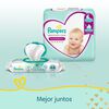 Premium-Care-Pañales-Desechables-G-72-Unidades-imagen-4