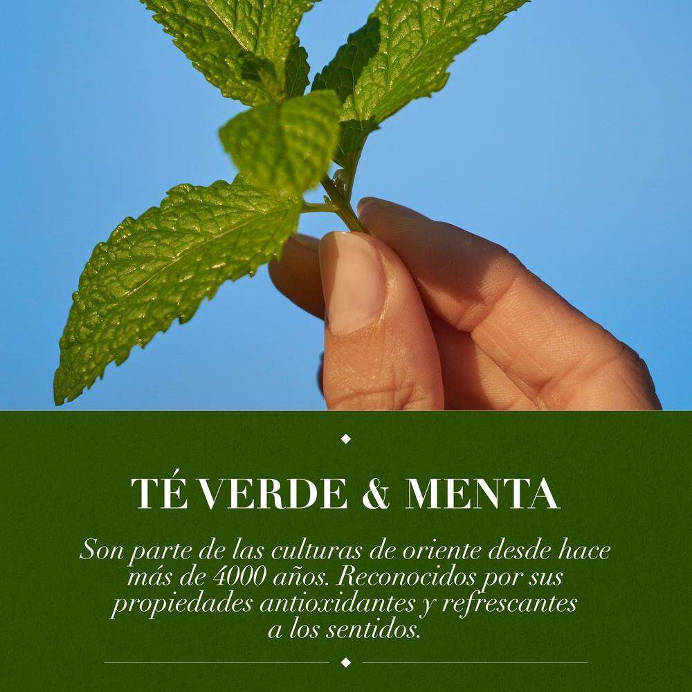 Acondicionador-Herbal-Essences-Detox-T&eacute;-verde-&-menta-600-ml-imagen-4