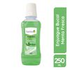 Enjuague-Bucal-Menta-Fresca-250-mL-imagen-1