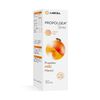 Propolgea-Spray-de-Propoleo,-Miel-y-Mentol-30-mL-imagen