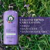 Acondicionador-Herbal-Essences-Lavanda-&-Aceite-de-Almendras-600-ml-imagen-3