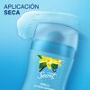 Antitranspirante-En-Barra-Secret-Vainilla-45-g-imagen-2