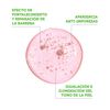 Serum-Complejo-Vitamina-B-para-Pieles-Sensibles-E-Hiperpigmentadas-30ml-imagen-2