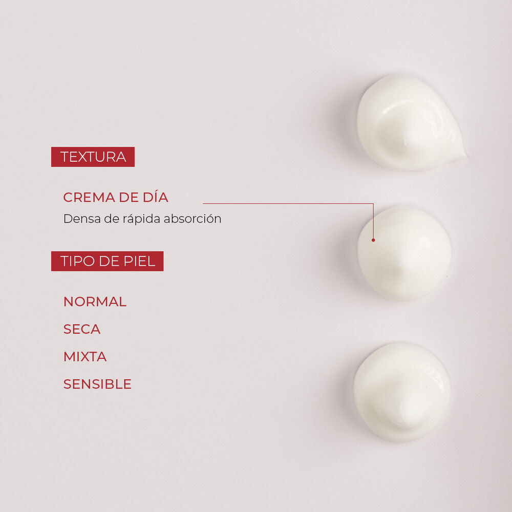 Fillerina12Ha-Day-Cream-Grade-3-imagen-3