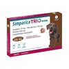 Simparica-Trio-40-60-Kg-X-1-Comp-imagen