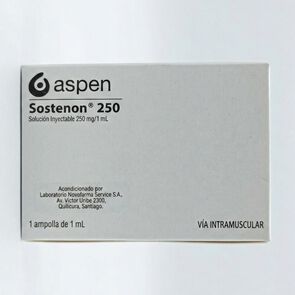 Sostenon-Testosterona-250-Mg-1-Ampolla-imagen
