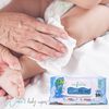Toallitas-humedas-Water-Baby-Wipes-Infans-80-Unidades-imagen-2