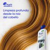 Shampoo-Purificaci&oacute;n-Capilar-1L-imagen-5