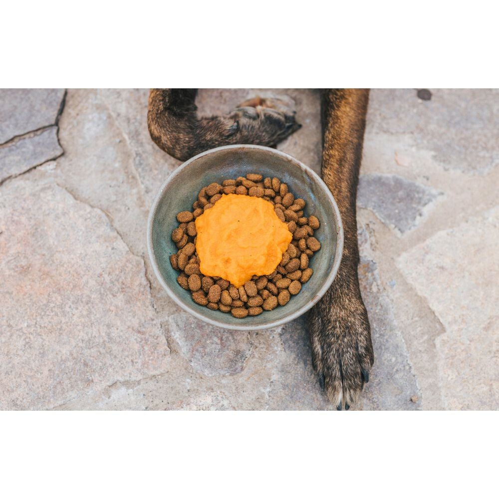 Winga-Carrot-Power-Perros-250G-imagen-3