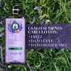 Shampoo-Herbal-Essences-Lavanda-&-Aceite-de-Almendras-600-ml-imagen-3
