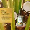 Aqua-Oil-Aloe-Antioxidante-Extracto-de-Coco-100-mL-imagen-2