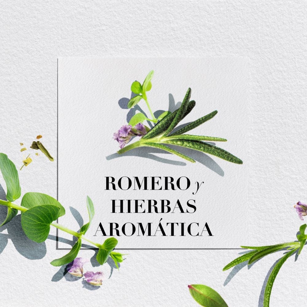 Bí­o-Renew-Moisture-Rosemary-&-Herbs-Acondicionador-400-mL-imagen-2
