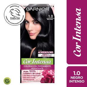 Coloración-1.0-Negro-Intenso-Garnier-imagen