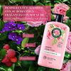 Classic-Smooth-Acondicionador-865ML-imagen-4