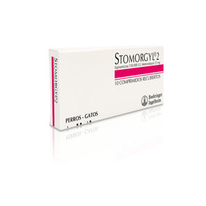 Stomorgyl-2-10-Comprimidos-imagen