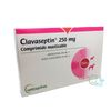 Clavaseptin-10-Comprimidos-Masticables-Para-Perros-250-Miligramos-imagen