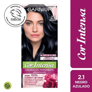 Coloración-2.1-Negro-Azulado-imagen