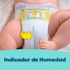 Premium-Care-Reci&eacute;n-Nacido-Pa&ntilde;ales-Desechables-P-36-Unidades-imagen-2