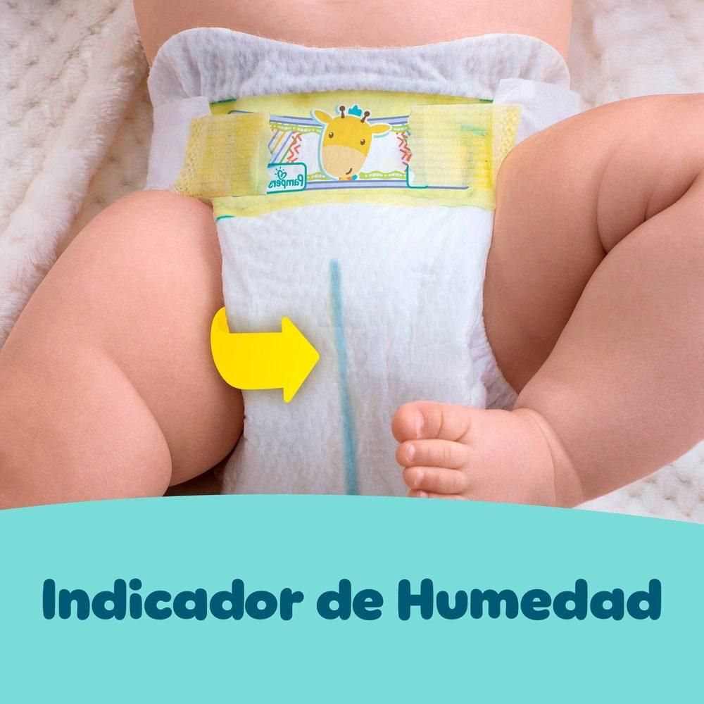 Premium-Care-Reci&eacute;n-Nacido-Pa&ntilde;ales-Desechables-P-36-Unidades-imagen-2
