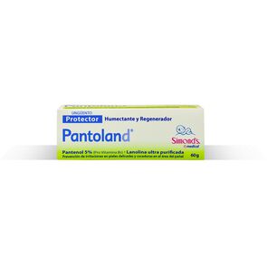 Pantoland-Unguento-Protector-Humectante-y-Regenerador-60-grs-imagen