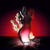 Dance-Red-Midnight-Eau-De-Toilette-Spray-50-mL-+-Loción-Hidratante-75-mL-imagen-3