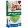 Advantage-Gatos-4-8-kg-(Pipeta-0,8ml)-imagen