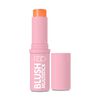 Blush-Multistick-Dusty-Coral-imagen-1