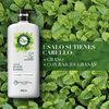 Acondicionador-Herbal-Essences-Detox-Té-verde-&-menta-600-ml-imagen-3