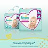 Premium-Care-Pañales-Desechables-G-72-Unidades-imagen-3