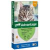Advantage-Gatos-<-4-kg-(Pipeta-0,4ml)-imagen