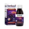 Sambucol-Jarabe-120-Ml-imagen-1