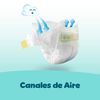 Reci&eacute;n-Nacido-Pa&ntilde;ales-Desechables-RN-20-Unidades-imagen-5