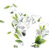 Crema-Natural-Té-Verde-imagen-3