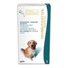 Revolution-Perro-12%-20---40Kg-(2Ml)-imagen