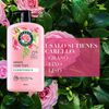 Classic-Smooth-Acondicionador-865ML-imagen-2