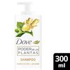 Poder-de-las-Plantas-Shampoo-Purificación-+-Jengibre-300-ml-imagen-1