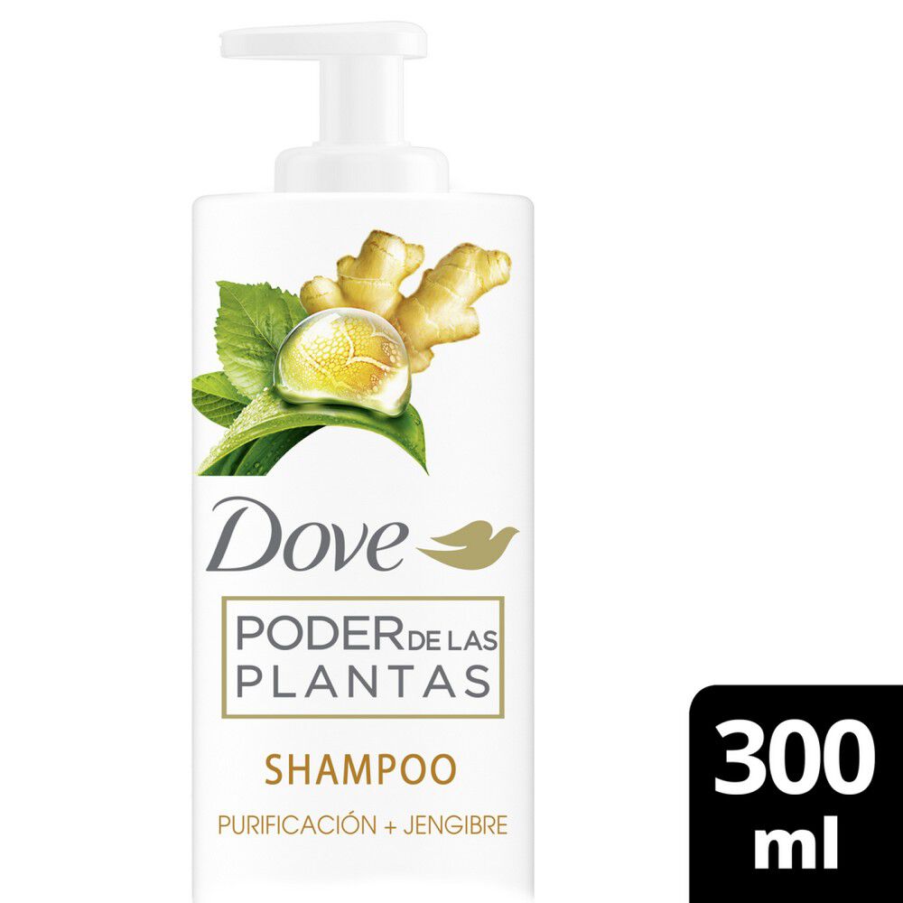 Poder-de-las-Plantas-Shampoo-Purificación-+-Jengibre-300-ml-imagen-1