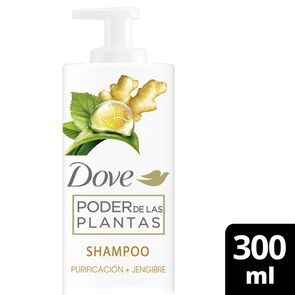 Poder-de-las-Plantas-Shampoo-Purificación-+-Jengibre-300-ml-imagen