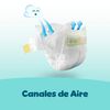 Premium-Care-Reci&eacute;n-Nacido-Pa&ntilde;ales-Desechables-P-36-Unidades-imagen-5
