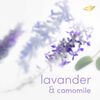 All-Body-Deo-Crema-Lavander-75gr-imagen-6