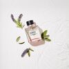 Power-Of-Seduction-Eau-De-Toilette-50-ml-+-Desodorante-150-ml-imagen-4