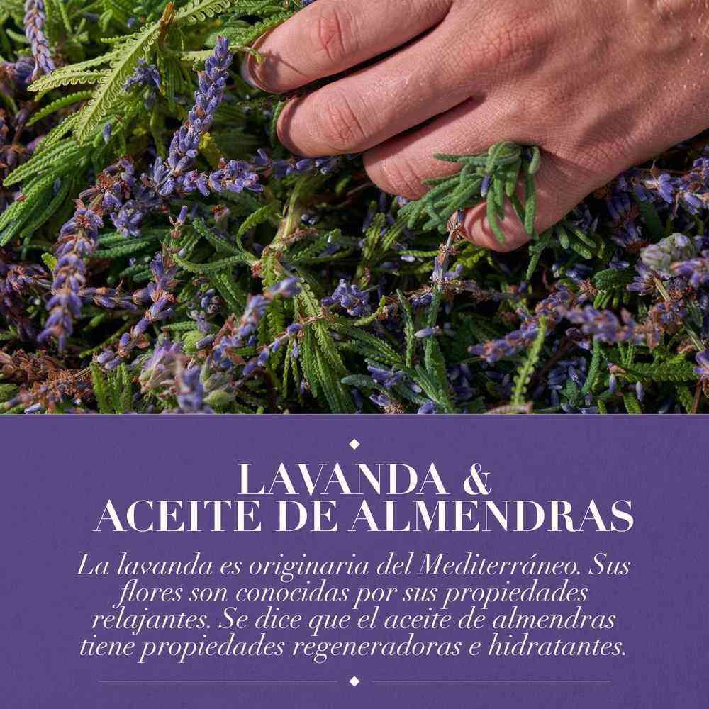Acondicionador-Herbal-Essences-Lavanda-&-Aceite-de-Almendras-600-ml-imagen-4