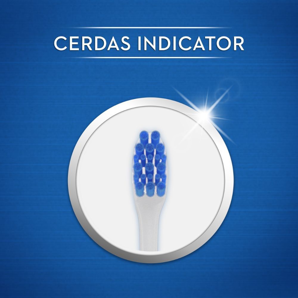 Expert-Cepillo-Dental-Limpieza-Medio-X2-imagen-2