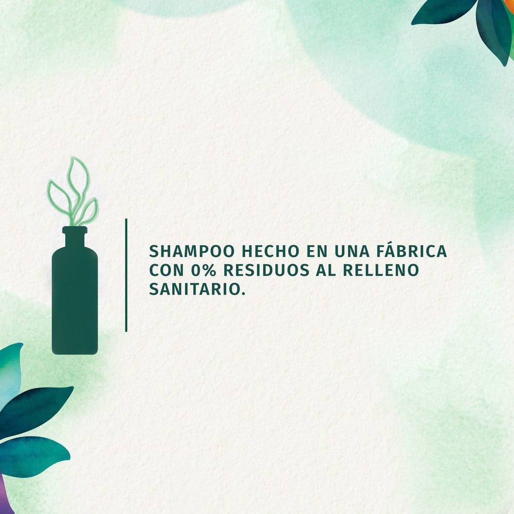 Classic Smooth Shampoo 865 mL | Cruz Verde