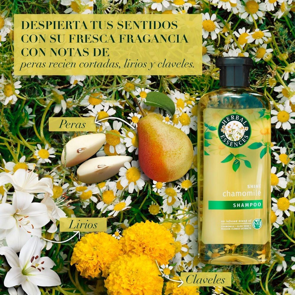 Shampoo Classic Shine 400 mL | Cruz Verde