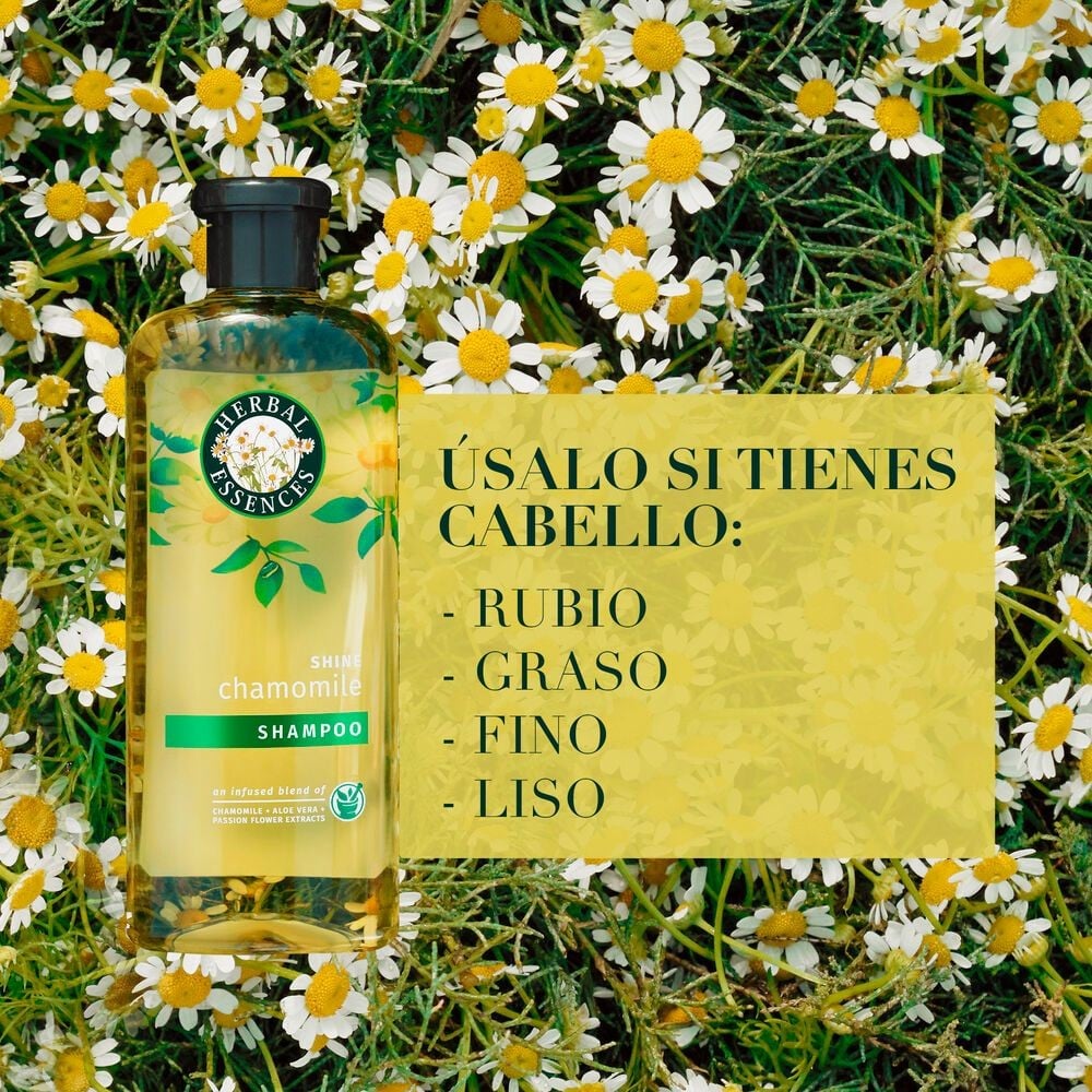 Shampoo Classic Shine 400 mL | Cruz Verde