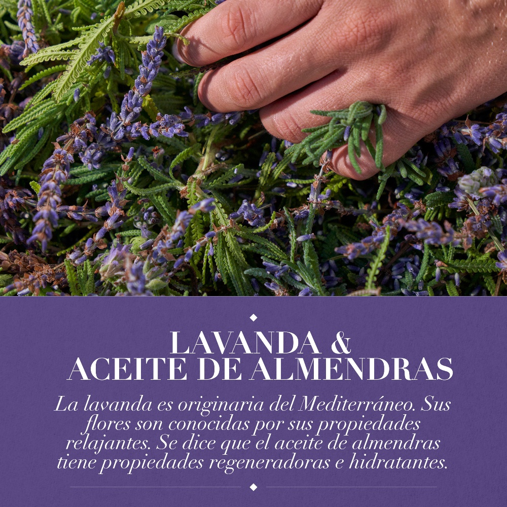 Shampoo Antifrizz Lavanda & aceite de almendras 400 ml Farmacias Cruz